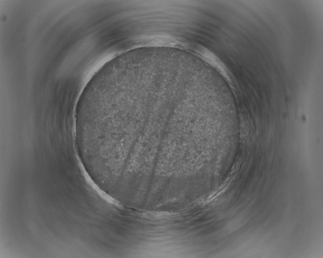X0000067491095200604281511