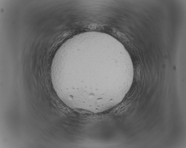 X0000067491105200604281510