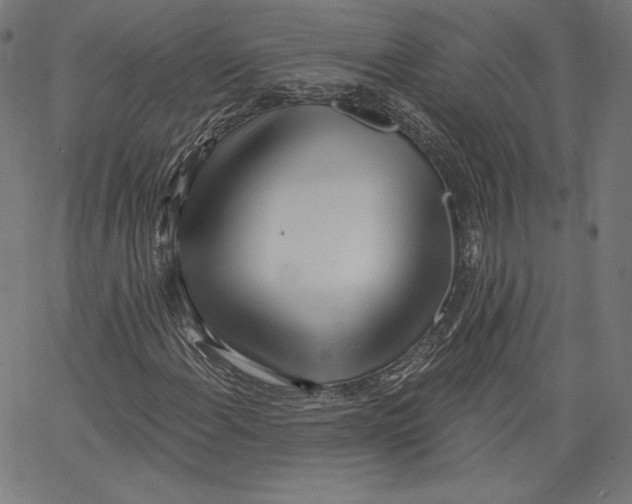 X0000067491108200604281510