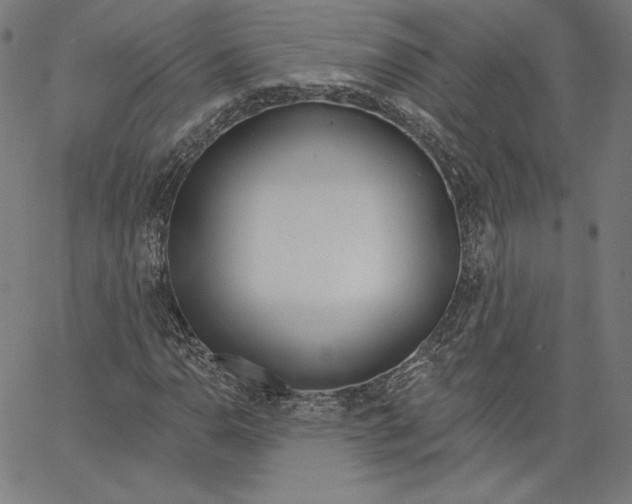 X0000067491110200604281510