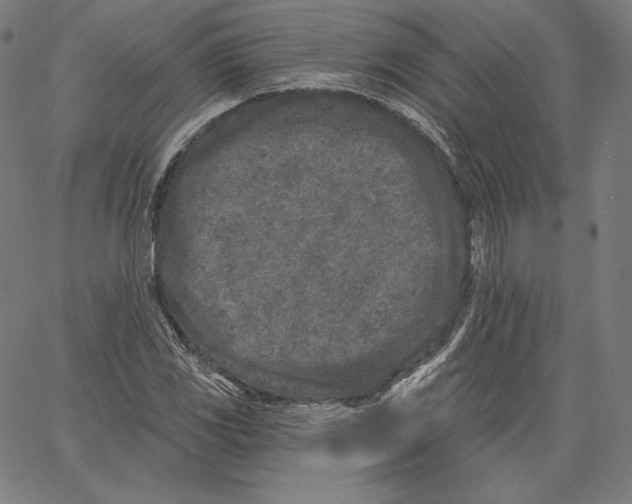 X0000067491117200604281510