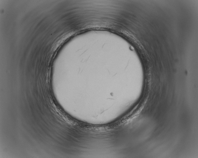 X0000067491121200604281510