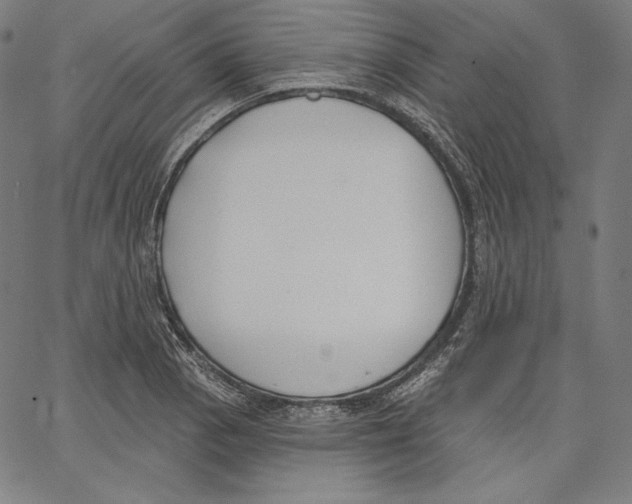 X0000067491129200604281510