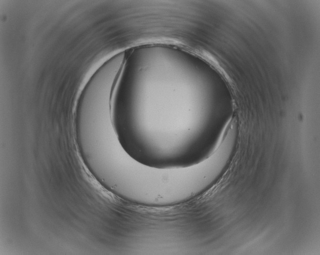 X0000067491140200604281510