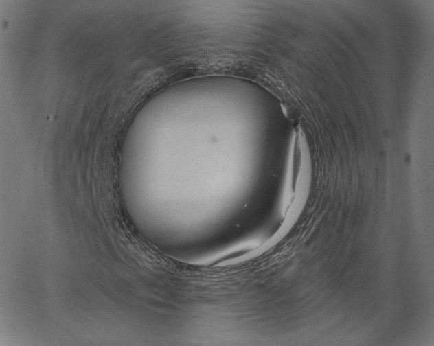 X0000067491153200604281510