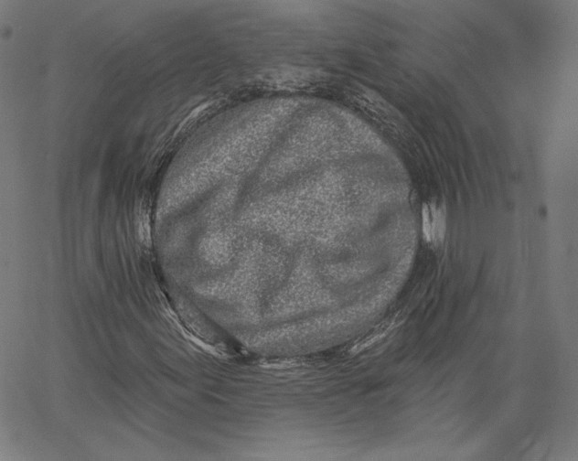 X0000067491155200604281510