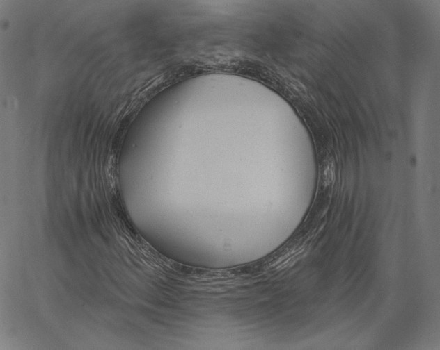 X0000067491156200604281510