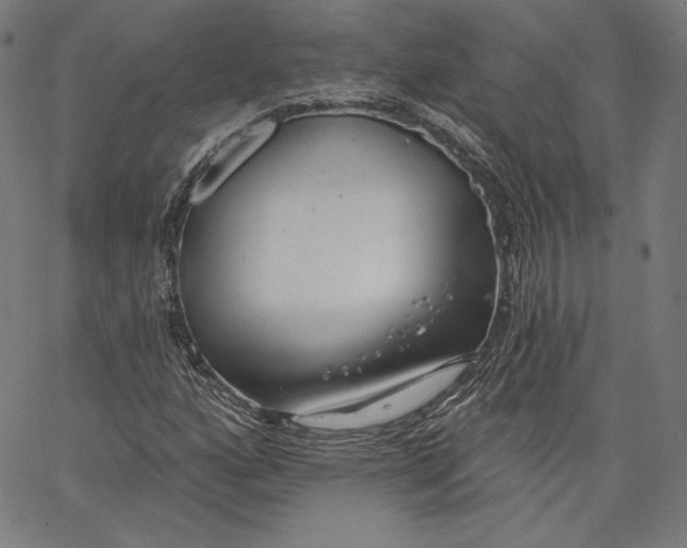 X0000067491160200604281510