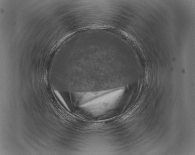 X0000067491161200604281510
