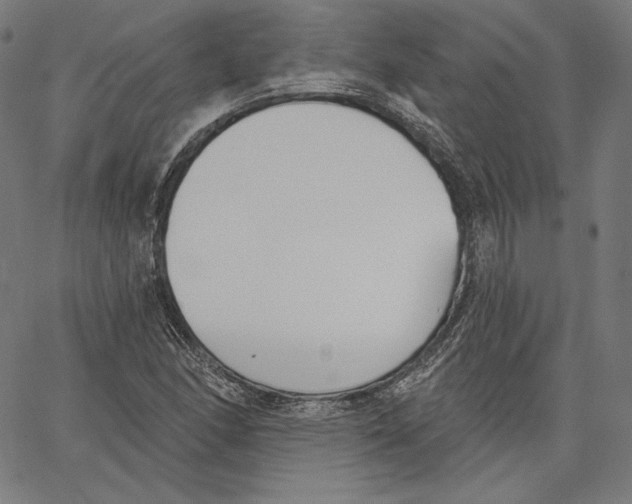 X0000067491166200604281509