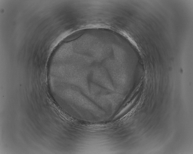 X0000067491173200604281509