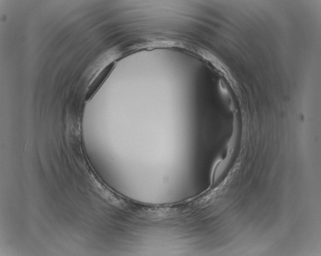 X0000067491193200604281509