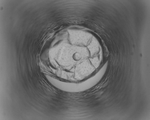 X0000067491202200604281508