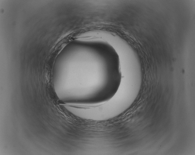X0000067491206200604281508