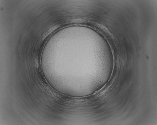 X0000067491209200604281508