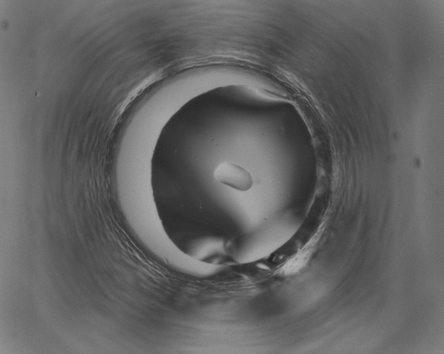 X0000067491210200604281508