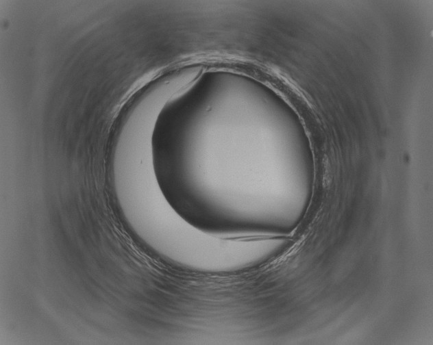 X0000067491213200604281508