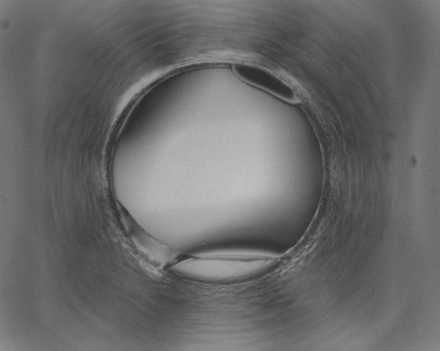 X0000067491230200604281509