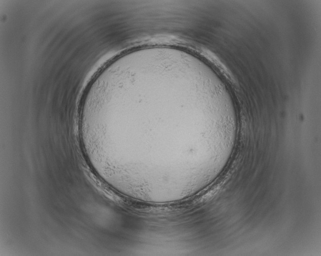 X0000067491232200604281509