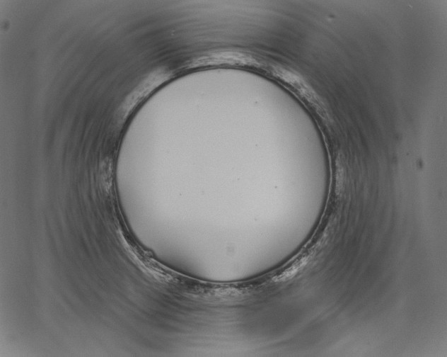 X0000067491233200604281509