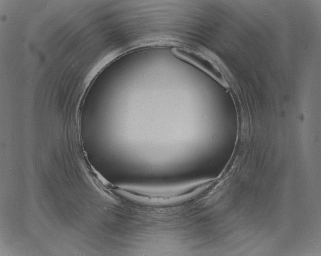 X0000067491242200604281509
