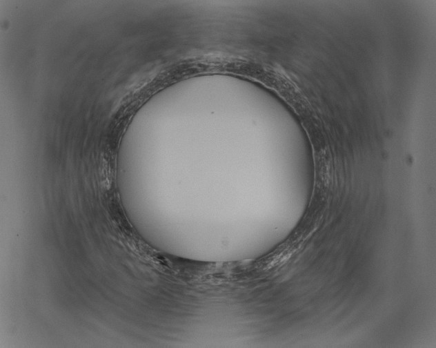 X0000067491253200604281508