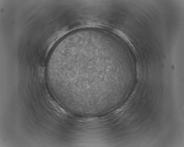 X0000067491260200604281508