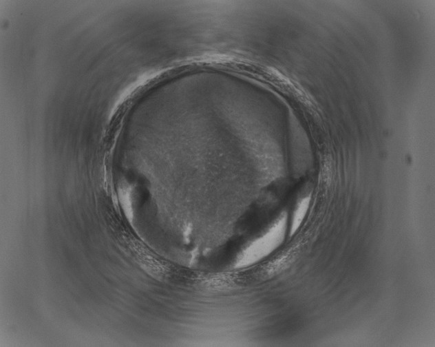 X0000067491262200604281508