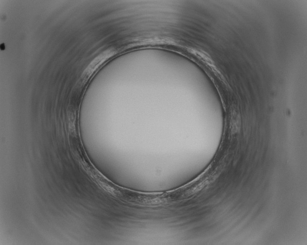 X0000067491273200604281508
