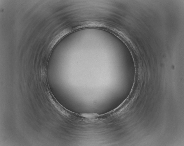 X0000067491281200604281508