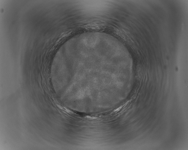X0000067491297200604281506