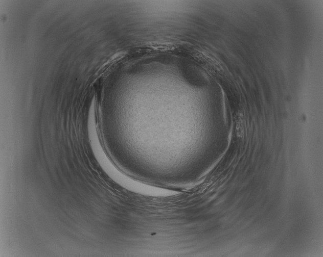 X0000067491298200604281506