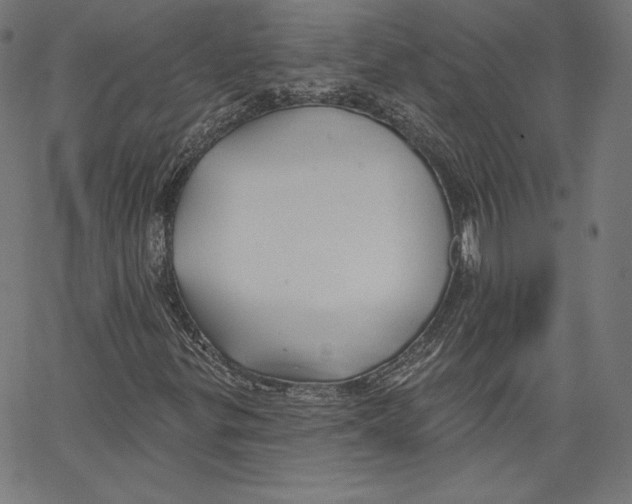 X0000067491299200604281507