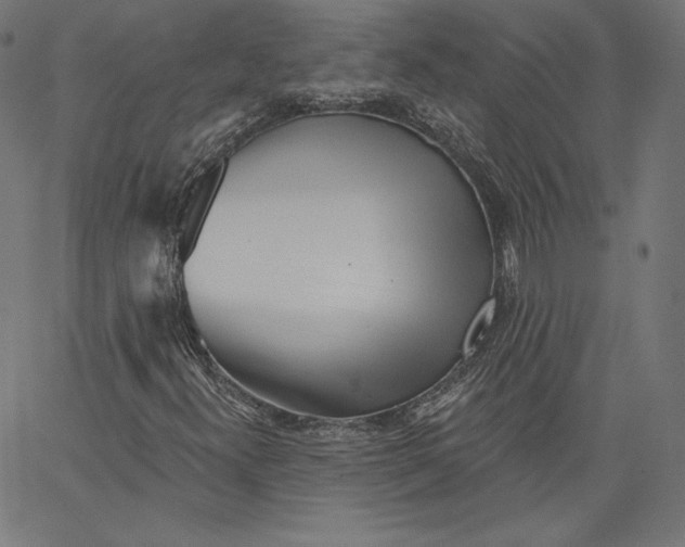 X0000067491300200604281507