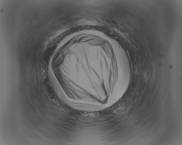 X0000067491303200604281507