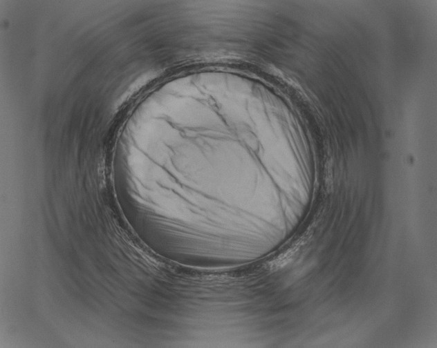X0000067491306200604281507