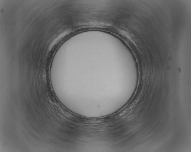X0000067491307200604281507