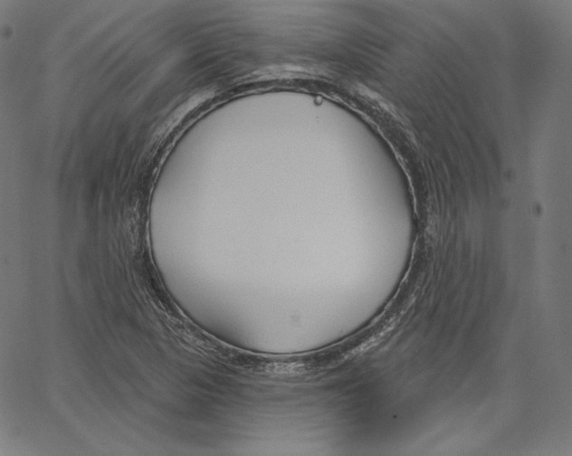 X0000067491313200604281507