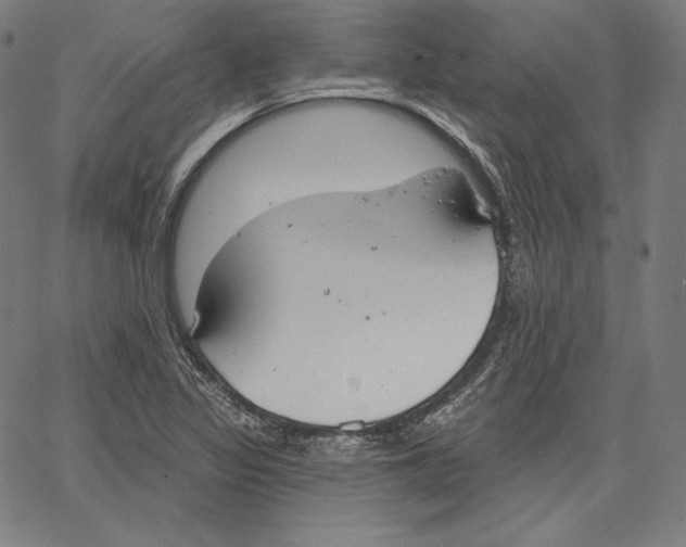 X0000067491317200604281507