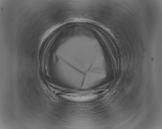 X0000067491319200604281507