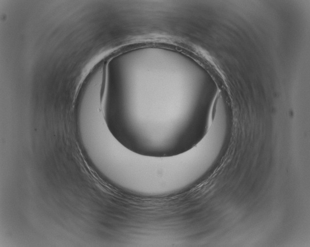 X0000067491320200604281507