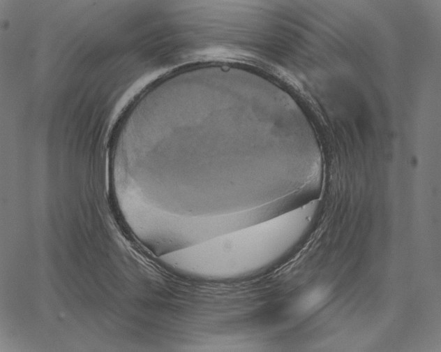 X0000067491323200604281507