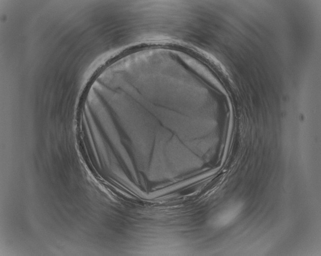 X0000067491327200604281507