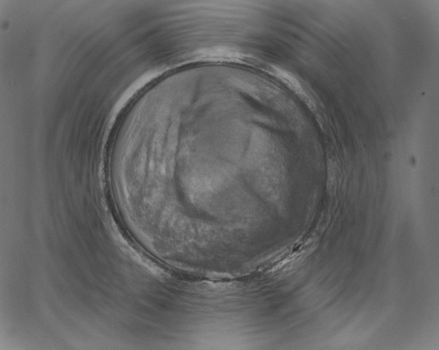 X0000067491331200604281507