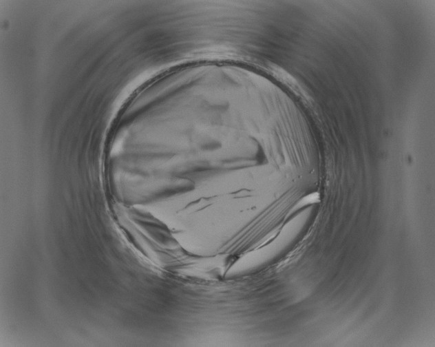 X0000067491334200604281507
