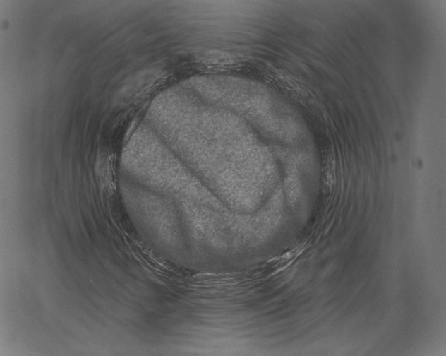 X0000067491346200604281506