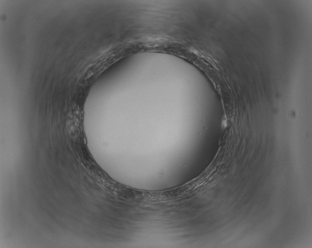 X0000067491349200604281506