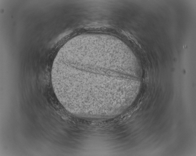 X0000067491350200604281506