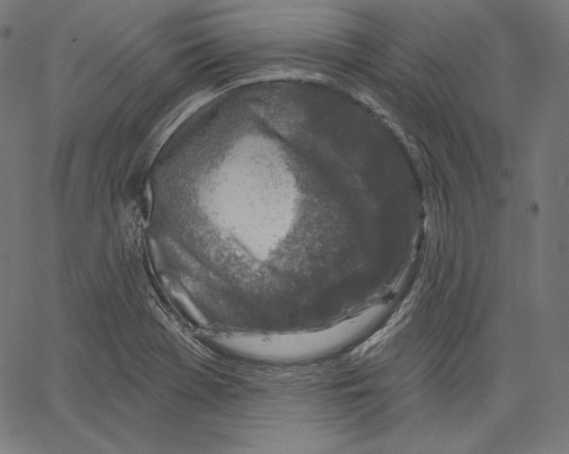 X0000067491369200604281506