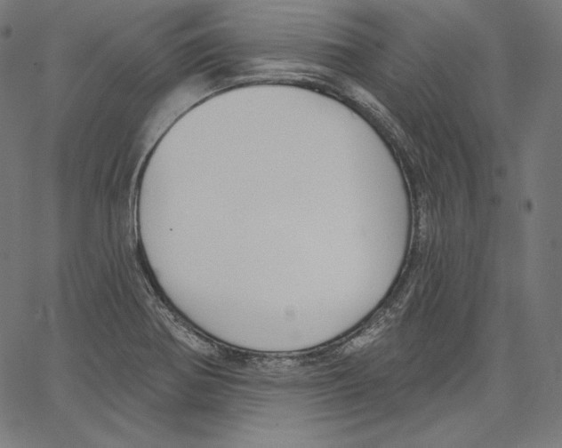 X0000067491370200604281506
